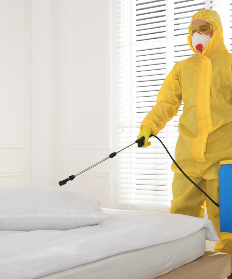 Professional Pest Control Team in Glengowrie